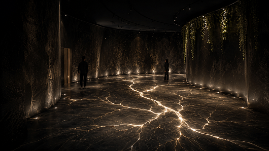Dark room with glowing root-like projection lines.
